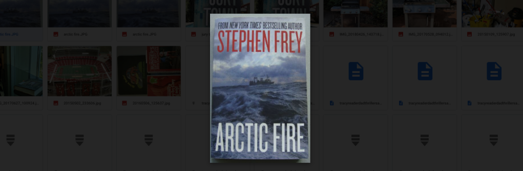 Book Review: “Arctic Fire” by Stephen Frey
