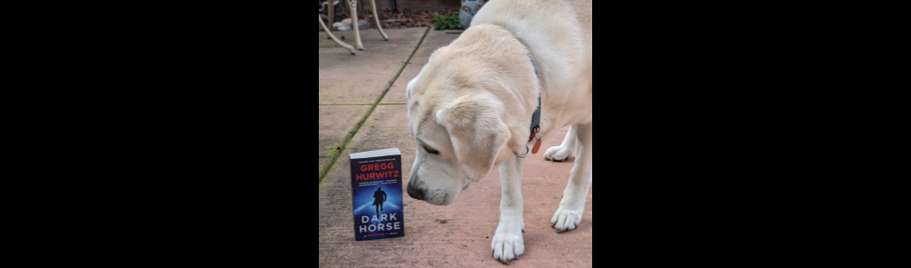 Book Review: “Dark Horse” by Gregg Hurwitz